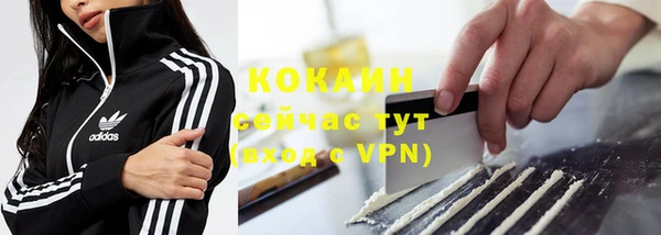 тгк Богородицк