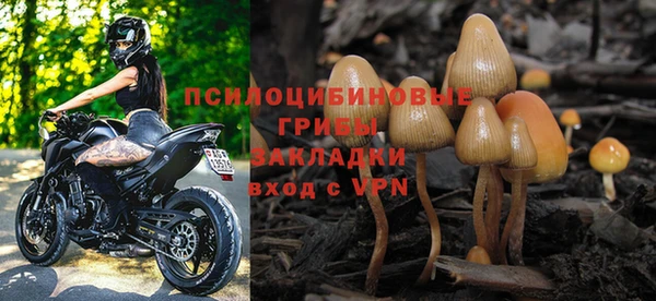 jwh Богородск