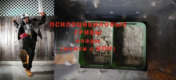 МДПВ Богданович