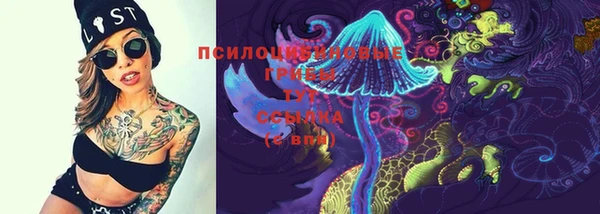 jwh Богородск