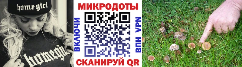 Псилоцибиновые грибы прущие грибы  магазин  наркотиков  Дмитров 